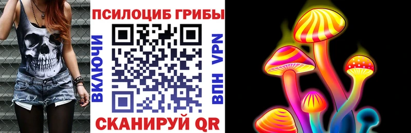 где продают наркотики  Калязин  Псилоцибиновые грибы ЛСД 